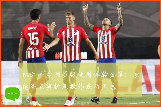 凯云平台网页版使用体验分享：功能亮点解析及操作技巧汇总